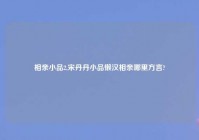 相亲小品2,宋丹丹小品懒汉相亲哪里方言?