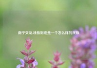南宁交友,壮族到底是一个怎么样的民族