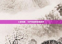 七星情盾，守护情感的坚固盾牌