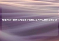 结婚可以不戴胸花吗,霍建华的胸口花为什么是别在领子上