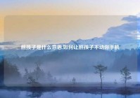 熊孩子是什么意思,如何让熊孩子不动你手机