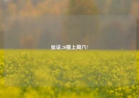 扯证,20撞上周六?