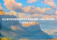 连云港百姓征婚网,那些在大地震中幸免于难的人现在都生活得怎么样了