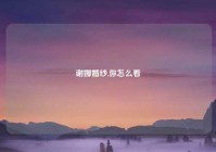 谢娜婚纱,你怎么看