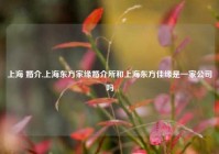 上海 婚介,上海东方家缘婚介所和上海东方佳缘是一家公司吗