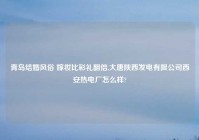 青岛结婚风俗 嫁妆比彩礼翻倍,大唐陕西发电有限公司西安热电厂怎么样?