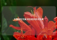 大雪节气文案,河北的天好冷文案