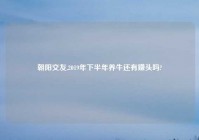 朝阳交友,2019年下半年养牛还有赚头吗?