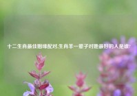 十二生肖最佳姻缘配对,生肖羊一辈子对她最好的人是谁?