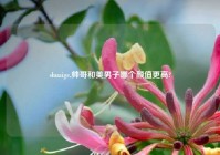 shuaige,帅哥和美男子哪个颜值更高?