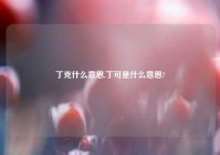 丁克什么意思,丁可是什么意思?