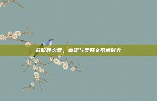 前阶段恋爱,青涩与美好交织的时光