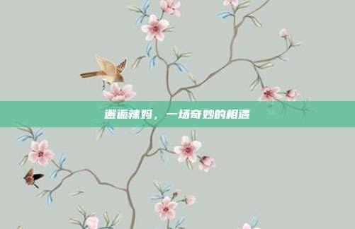 邂逅辣妈,一场奇妙的相遇