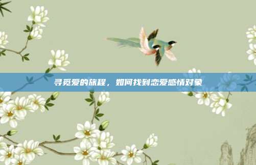 寻觅爱的旅程,如何找到恋爱感情对象