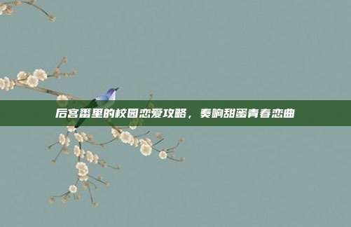 后宫番里的校园恋爱攻略,奏响甜蜜青春恋曲