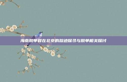 海南脱单群在北京的踪迹探寻与脱单相关探讨