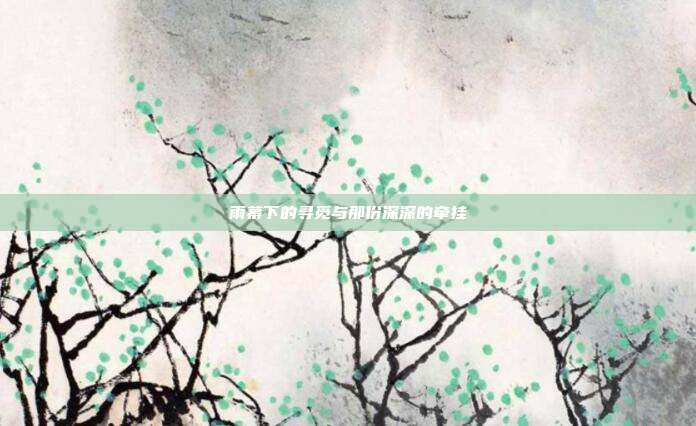 雨幕下的寻觅与那份深深的牵挂