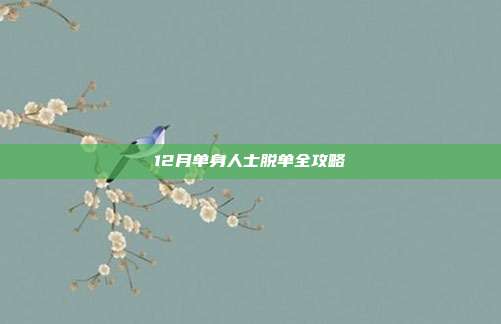 12月单身人士脱单全攻略