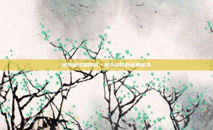 他反复试探背后，爱与信任的迷局探寻