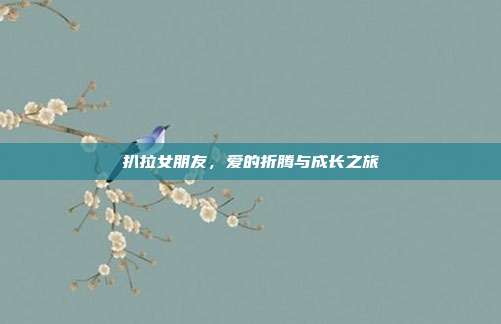 扒拉女朋友,爱的折腾与成长之旅