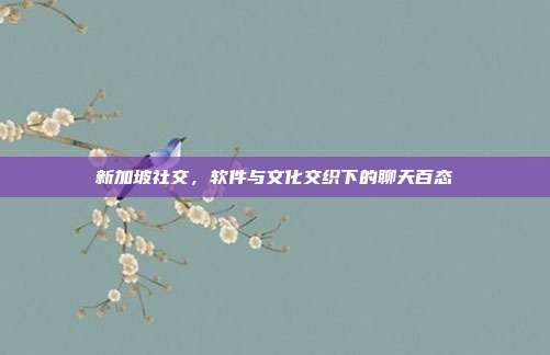 新加坡社交,软件与文化交织下的聊天百态