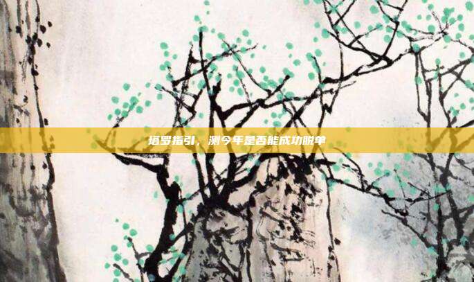 塔罗指引,测今年是否能成功脱单