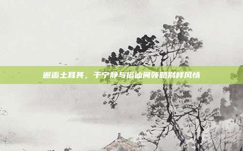 邂逅土耳其,于宁静与搭讪间领略别样风情