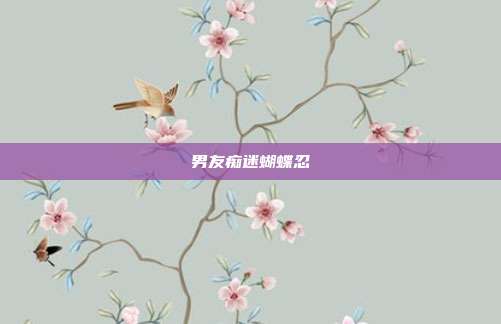 男友痴迷蝴蝶忍