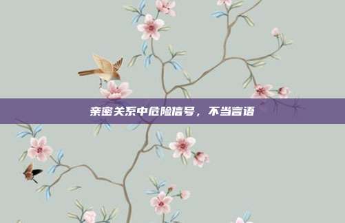 亲密关系中危险信号，不当言语