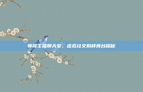 帅哥主播聊天室，虚拟社交别样舞台探秘