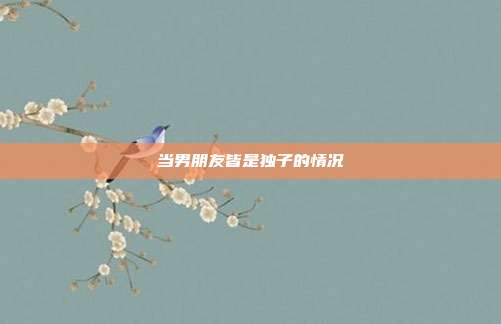 当男朋友皆是独子的情况