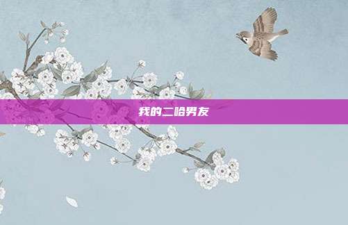 我的二哈男友
