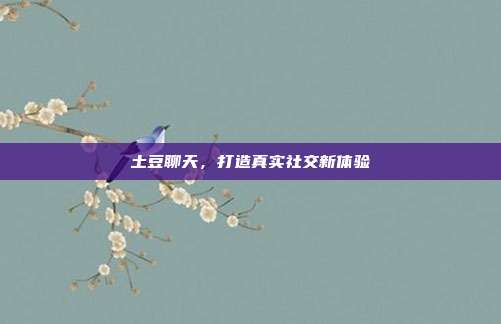 土豆聊天，打造真实社交新体验