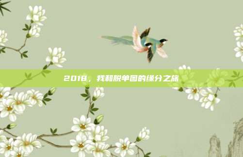 2018，我和脱单图的缘分之旅