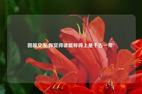 固原交友,你觉得谁能称得上是千古一帝?