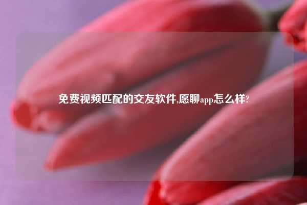 免费爱情匹配的交友软件,愿聊app怎么样?