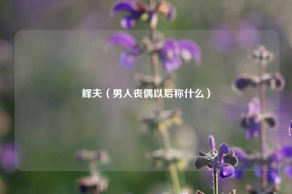 鳏夫（男人丧偶以后称什么）